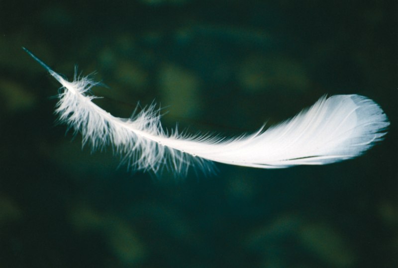 pena-voando-1 Vencendo o Esgotamento: Como Trocar a Ansiedade pela Paz de Deus