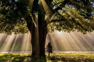 Vencendo o Esgotamento: Como Trocar a Ansiedade pela Paz de Deus