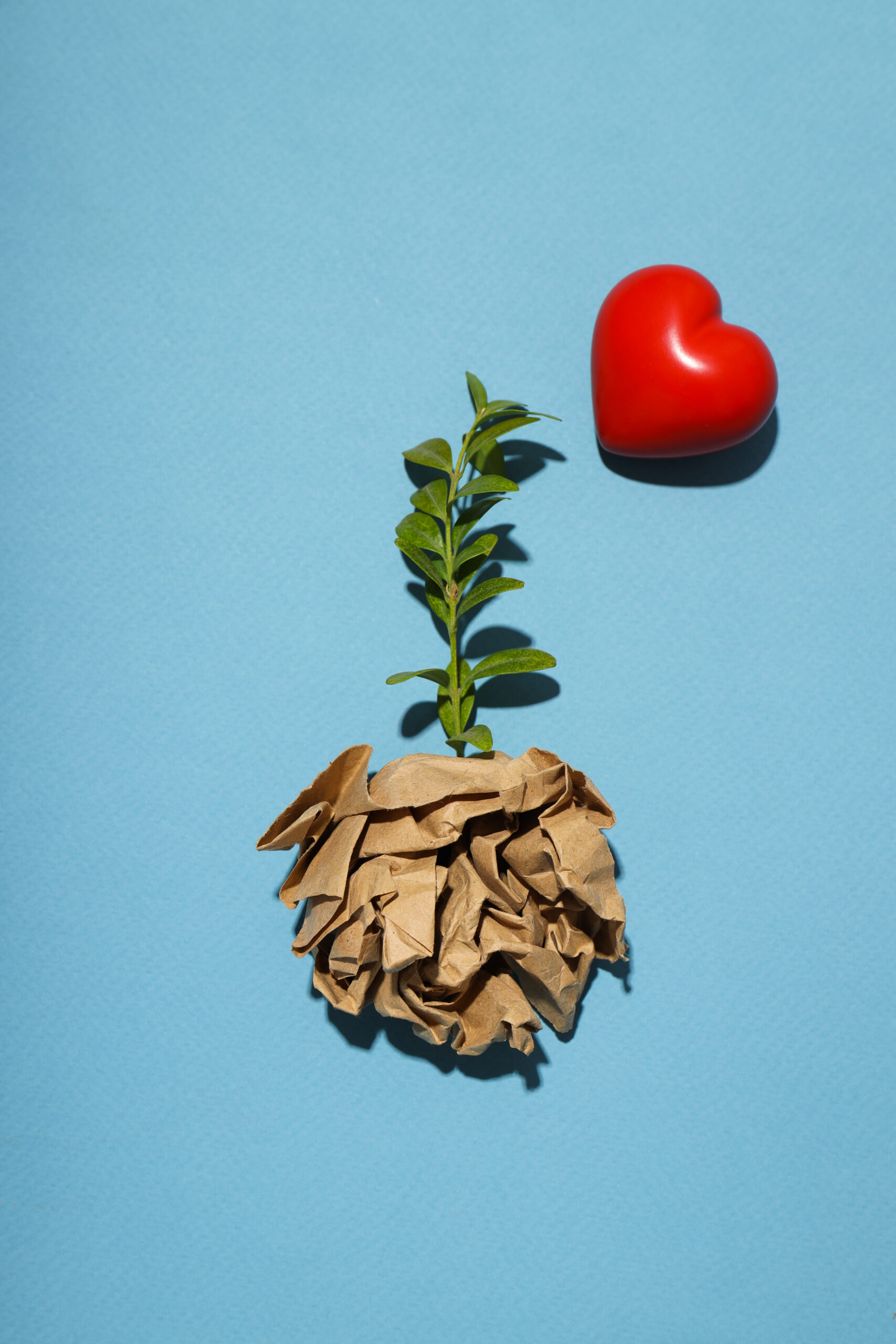 conceito-de-meio-ambiente-dia-da-terra-e-conceito-ecologico-scaled Os 4 Solos do Coração: Onde a sua Fé está Realmente Plantada?