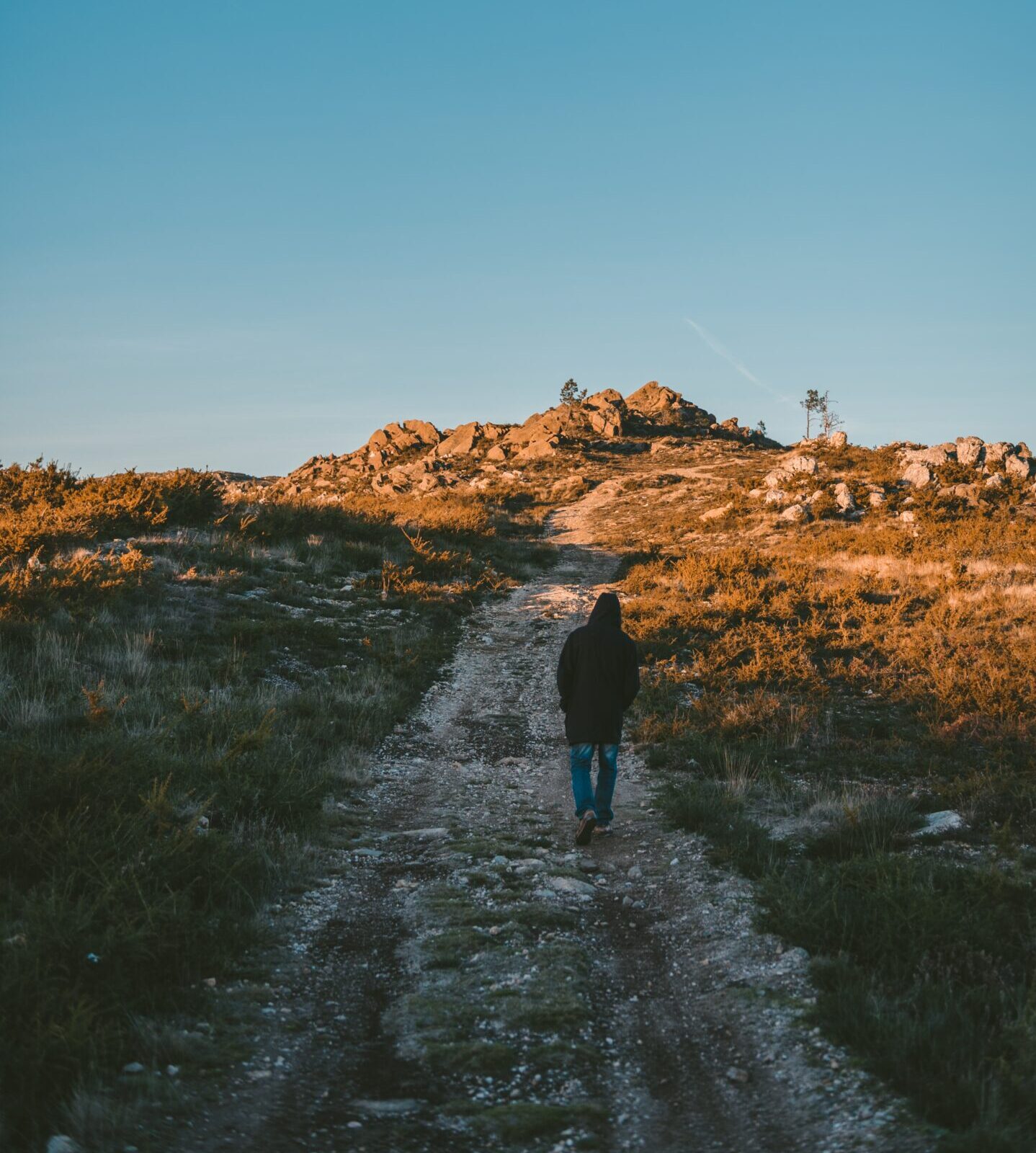 foto-vertical-de-uma-pessoa-solitaria-com-um-moletom-caminhando-ao-longo-de-um-caminho-scaled-e1760065239301 Pare de Mendigar Migalhas: O Grito que Mudou Tudo!