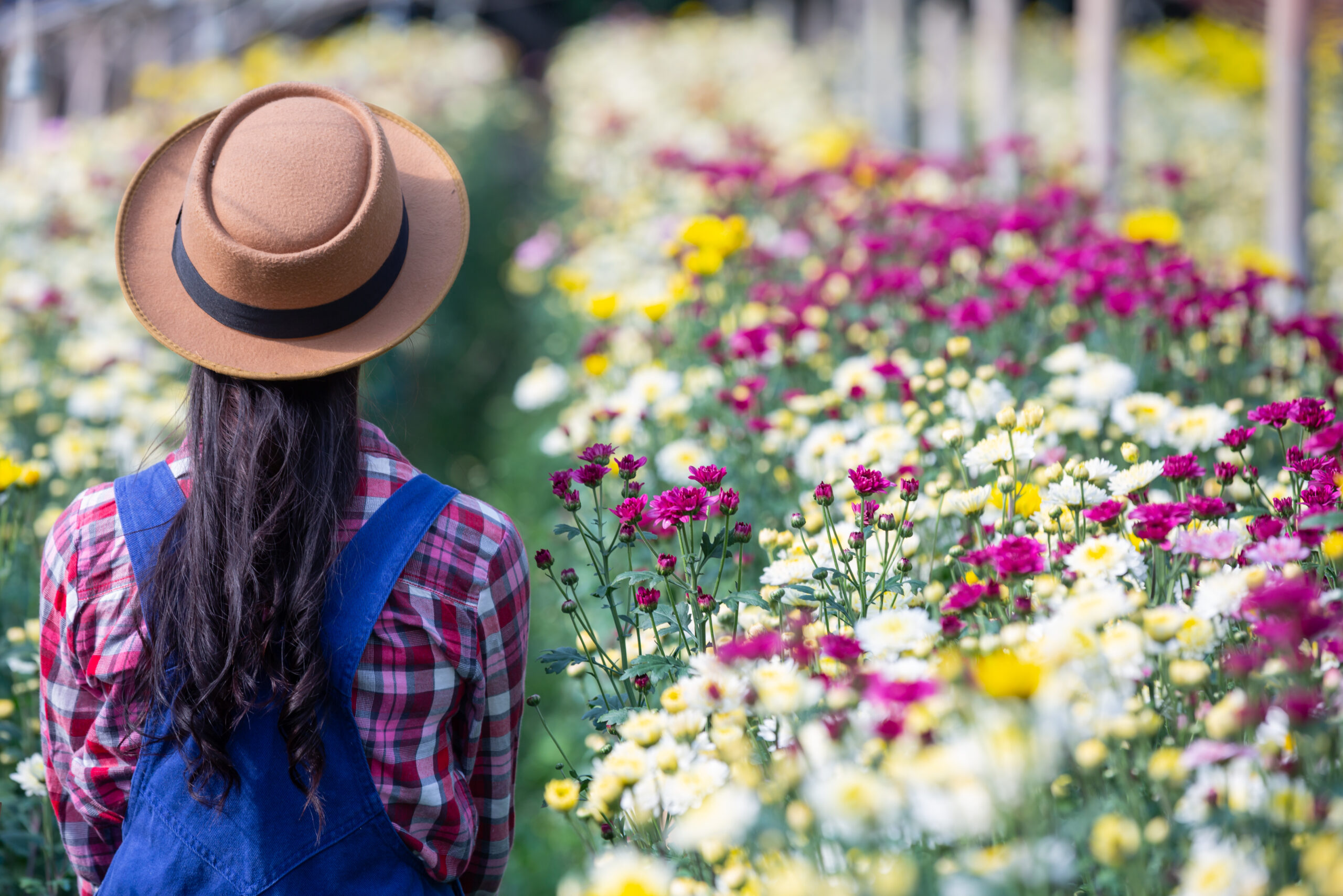 menina-esta-admirando-as-flores-no-jardim-scaled Das Raízes ao Jardim: O Valor Eterno do Trabalho Invisível