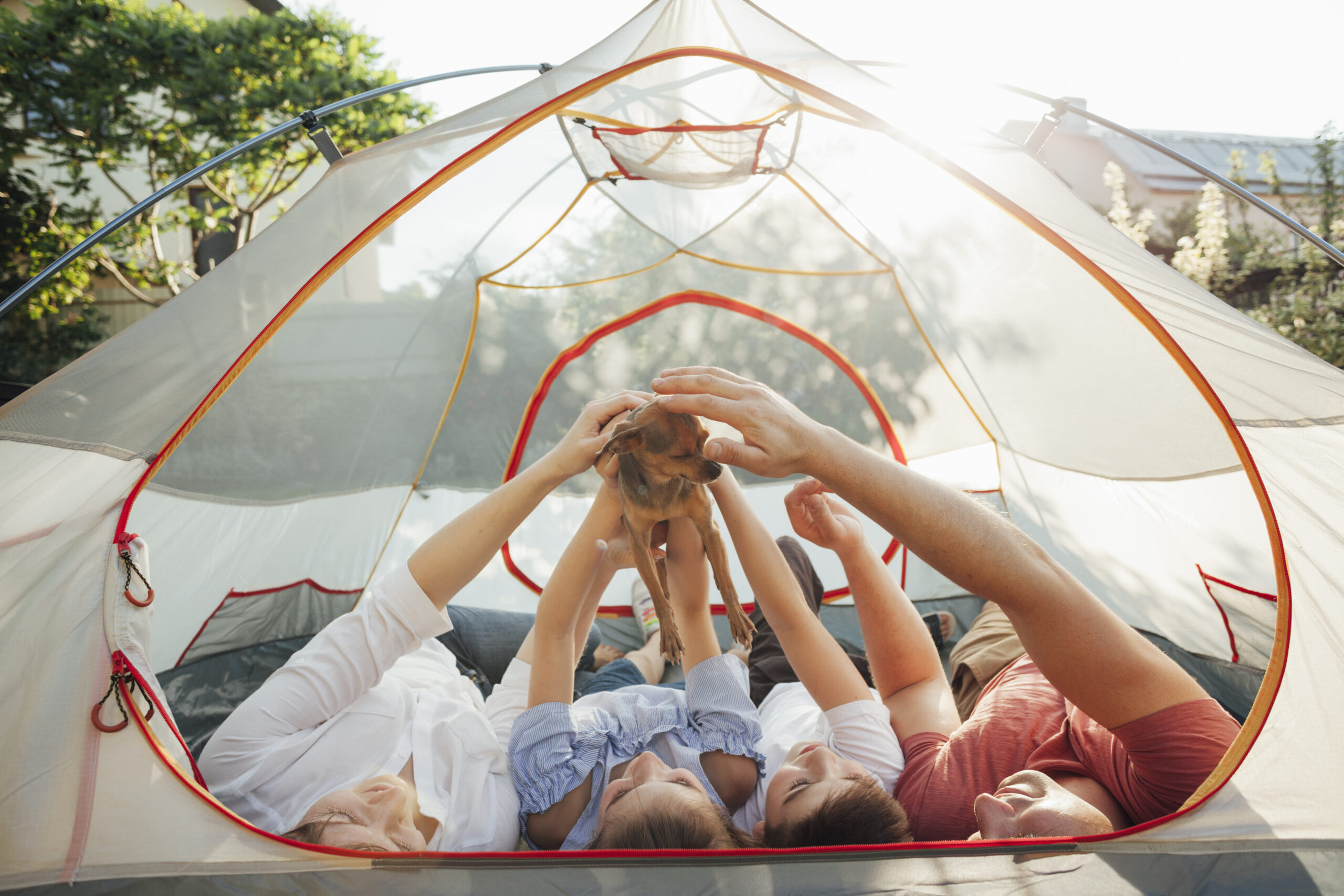 family-stroking-little-dog-while-lying-tent-scaled O Desafio de Amar Quando o "Eu" se Confronta com o "Outro": Um Testemunho de Fé